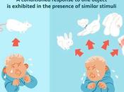 Exploring Power Stimulus Generalization: Real-Life Examples Implications