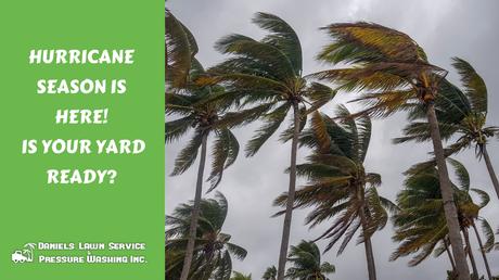 Hurricane Season Is Here! Is Your Yard Ready?