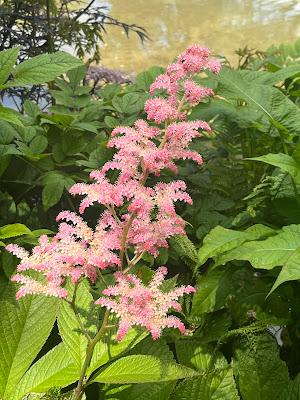 An abundance at Sezincote