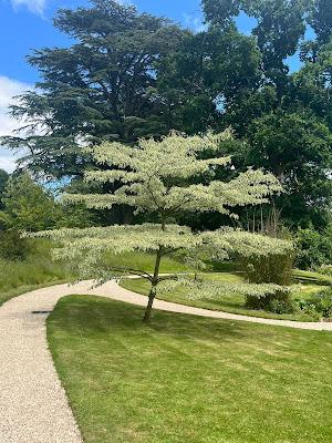 An abundance at Sezincote