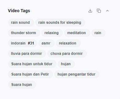 video tags with VidIQ 