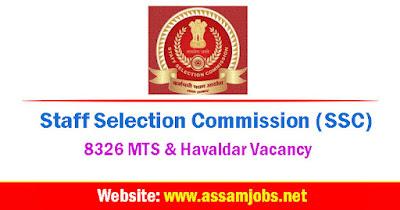 SSC MTS Recruitment 2024 | 8326 MTS & Havaldar Vacancy, Online Apply