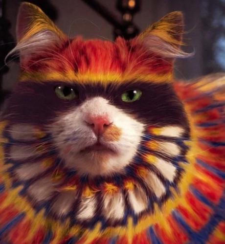 Cat painted to look like a tribal American Indian