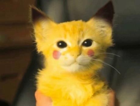 Cat painted to look like Pikachu