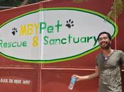 Heartfelt Journey: Volunteering Rescue Sanctuary.