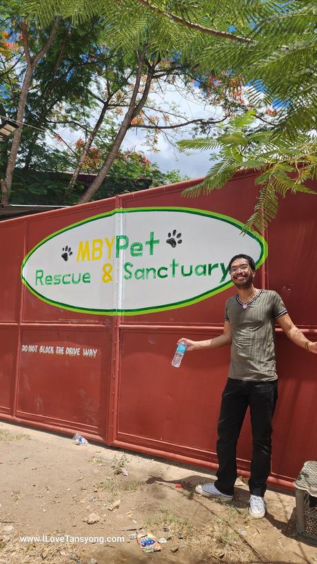 A Heartfelt Journey: Volunteering at MBY Dog Rescue Sanctuary.