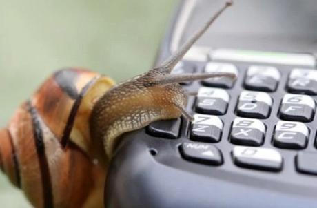 Snail using a phone