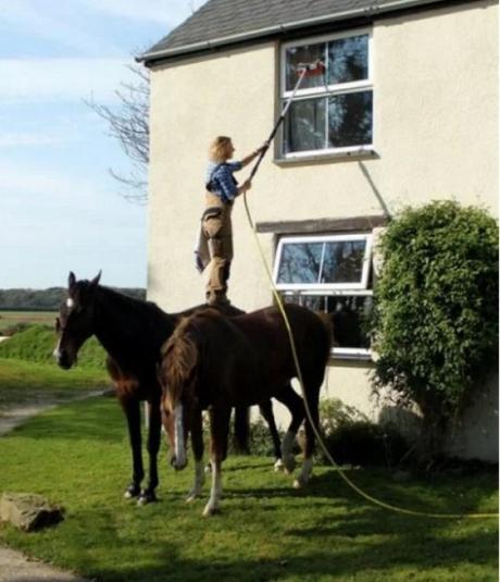 Who needs ladders when you have Horses