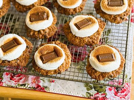 Oatmeal Chocolate Chip Cookie S'Mores