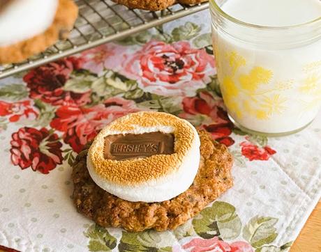 Oatmeal Chocolate Chip Cookie S'Mores