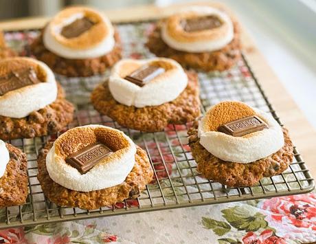 Oatmeal Chocolate Chip Cookie S'Mores