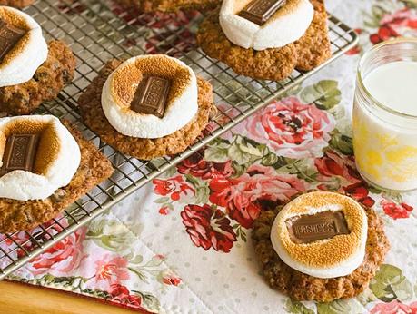 Oatmeal Chocolate Chip Cookie S'Mores