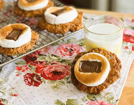 Oatmeal Chocolate Chip Cookie S'Mores