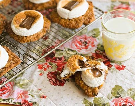 Oatmeal Chocolate Chip Cookie S'Mores