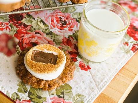 Oatmeal Chocolate Chip Cookie S'Mores