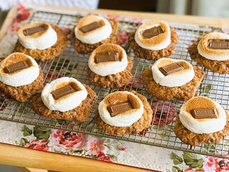 Oatmeal Chocolate Chip Cookie S'Mores