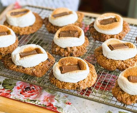 Oatmeal Chocolate Chip Cookie S'Mores