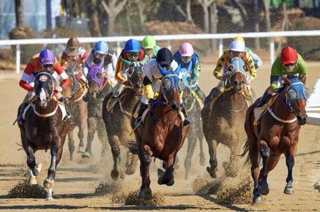 Horse Racing