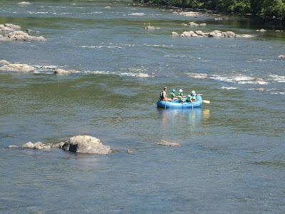 Paddlers