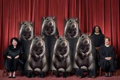 As the Roberts Court tears our constituional order asunder, Americans soon will be learning that rats have infiltrated the plush quarters of our highest court