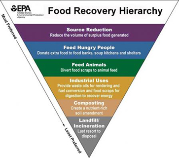 Food Rescues: What Do They Do? How Do You Get Involved?