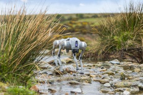 From robots and drones to sheep tracking systems: new technology can help farmers monitor and improve soil health