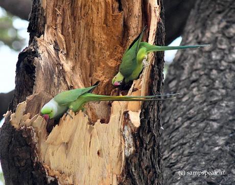 What is your breakfast today ?!? What is your breakfast today ?!?