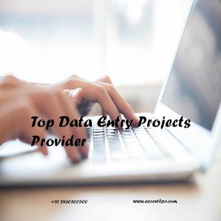 Noida's Best Data Entry Projects Providers: What You Need to Know