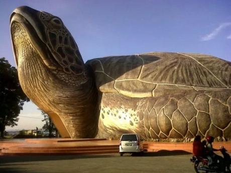 Building That Looks Like a giant turtle