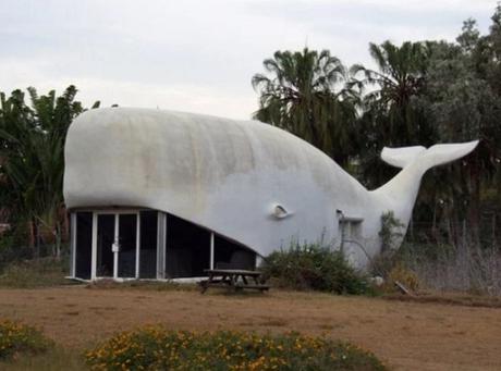 Building That Looks Like a Whale