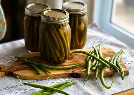 Dill Pickled Green Beans