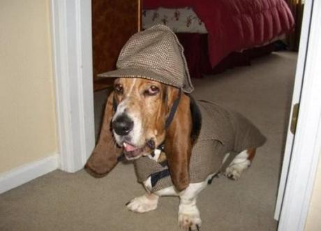 Ten Fun and Interesting Facts About Basset Hounds Funny Basset Hound dressed like Sherlock Holmes