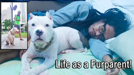 Living with an American Bully,
Small condo living with dogs,
American Bully in a condo,
Dog-friendly condos,
Micro living with pets,
American Bully care tips,
Living in a condo with a dog,
Best dogs for small spaces,
American Bully apartment life,
Condo life with an American Bully,
American Bully micro living,
Dog living in small condos,
Small space dog care,
Tips for living with dogs in condos,
American Bully in small apartments,
Micro living dog vlog,
American Bully pet vlog,
Condo living with large dogs,
American Bully daily routine,
Dog care in small spaces,
Living in a condo with large dogs,
Small condo dog hacks,
American Bully lifestyle,
Pet-friendly condos,
American Bully in urban living,
Micro living with American Bully,
Dog-friendly apartment tips,
Living with large dogs in small spaces,
American Bully condo vlog,
Tips for living with big dogs in condos,
Urban living with dogs,
American Bully home life,
Best practices for dogs in small condos,
American Bully daily care,
Micro living with large dogs,
Condo-friendly dog breeds,
How to live with dogs in small spaces,
American Bully in condos,
Pet care in small apartments,
American Bully vlog,
Condo life with pets,
Tips for large dogs in small condos,
Urban living with American Bully,
American Bully care in small spaces,
Dog-friendly living in condos,
Small space living with American Bully,
American Bully in urban homes,
Micro living with pets,
Tips for dogs in small living spaces,
American Bully apartment tips,
Condo life dog care,
American Bully in small homes,
Pet care tips for condos,
American Bully urban lifestyle,
Living in small spaces with dogs,
Dog-friendly urban living,
American Bully pet care
Small condo pet tips,
Living with dogs in apartments,
American Bully condo care,
Dog-friendly condo tips,
Urban living with large dogs,
American Bully daily vlog,
Condo pet care tips,
Best dogs for urban living,
American Bully small space living,
Tips for living with pets in condos,
American Bully apartment care,
Dog care in condos,
Urban pet living tips,
American Bully lifestyle vlog,
Micro living with large pets,
American Bully care in small homes,
Condo-friendly pets,
Living with dogs in small homes,
American Bully in small apartments,
Pet-friendly urban living,
Small condo dog care tips,
American Bully in small condos,
Urban pet care tips,
Dog-friendly living in small spaces,
American Bully urban home life,
Small living spaces with pets,
Condo life with big dogs,
American Bully daily life,
Urban living with pets,
Small home living with American Bully,
American Bully care in condos,
Tips for living with large pets in small spaces,
American Bully micro living vlog,
Condo living pet care,
Urban dog care tips,
American Bully in small homes,
Micro living with dogs,
Best dog breeds for small spaces,
American Bully apartment lifestyle,
Pet care in urban living,
American Bully condo life,
Tips for small living spaces with dogs,
Living in small spaces with American Bully,