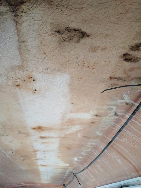 How much does it cost to replace an RV roof? that's going to partly depend on any underlying damage