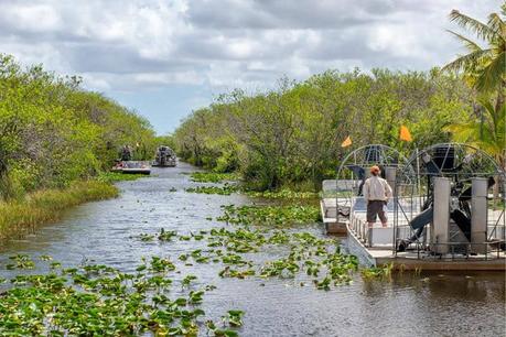 15 Top Florida Campgrounds & RV Parks You Need to Experience 29 Everglades National Park