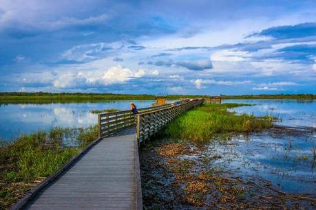 15 Top Florida Campgrounds & RV Parks You Need to Experience 27 Myakka River State Park