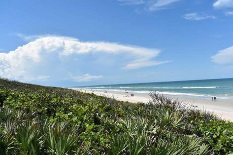 15 Top Florida Campgrounds & RV Parks You Need to Experience 30 Canaveral National Seashore