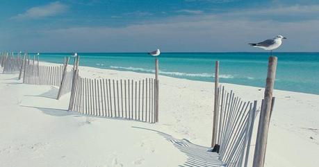 15 Top Florida Campgrounds & RV Parks You Need to Experience 32 Gulf Islands National Seashore