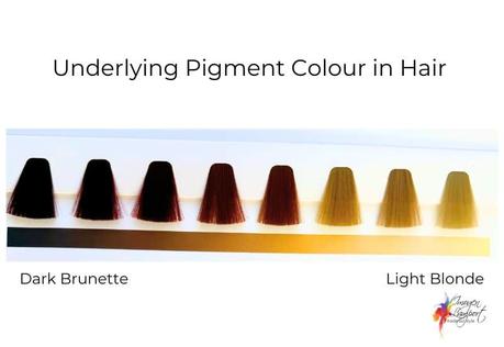 Underlying Pigment in Hair colour