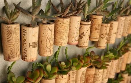 cork planters