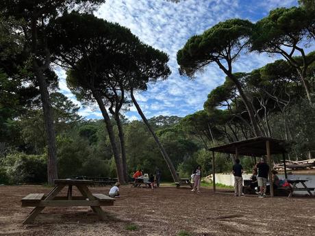 Picnic area in Sintra Cascais Natural Park with picnic benches in a clearing surrounded by trees and a few people 