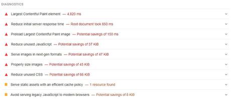 PageSpeed insights diagnostic report screenshot