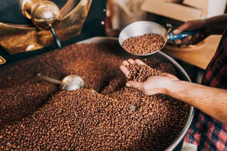 Bean Connoisseurs: Exploring the Best Types of Coffee