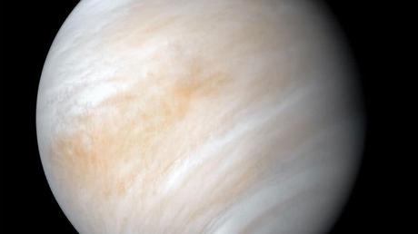 Venus atmosphere shows potential signs of life again