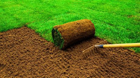 How to Prepare Your Lawn for Residential Sod Installation Florida Style