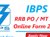 IBPS Online Form 2024
