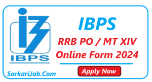 IBPS RRB PO / MT XIV Online Form 2024