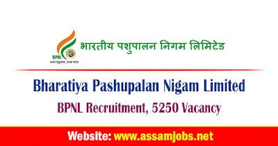 BPNL Recruitment 2024 | 5250 Vacancy, Apply Online