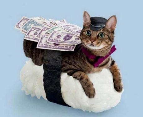 Cat Dressed as Sushi