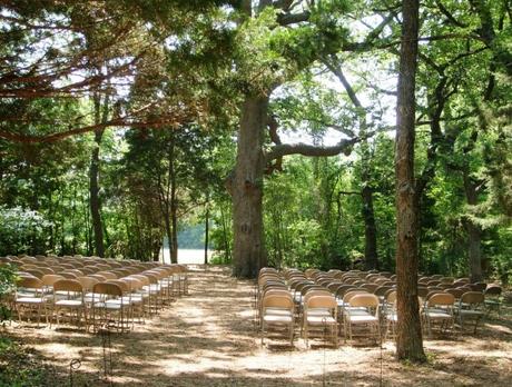 Wedding in a Forest